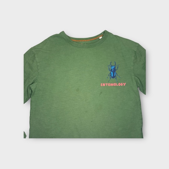 Mini Boden Entomology Insect Educational Graphic Green Long Sleeve Shirt - Picture 2 of 4